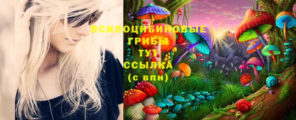 ГАЛЛЮЦИНОГЕННЫЕ ГРИБЫ Армянск