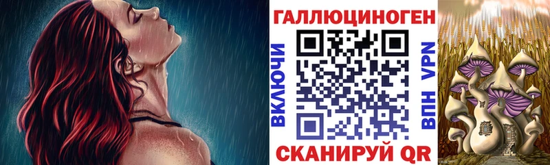 Галлюциногенные грибы GOLDEN TEACHER  купить   Видное 
